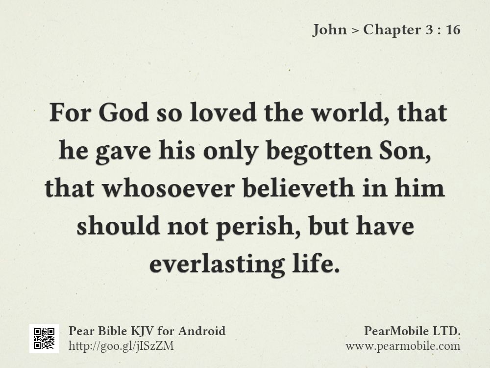 John, Chapter 3:16